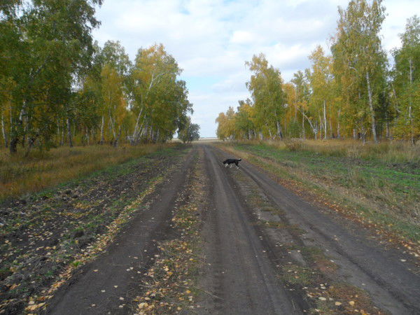 Лариса Королева