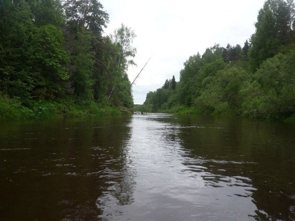 Денис Рогозин