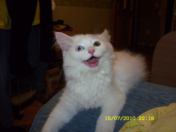 Оксана Корчикова