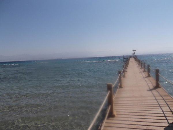 Алёна Порфирьева