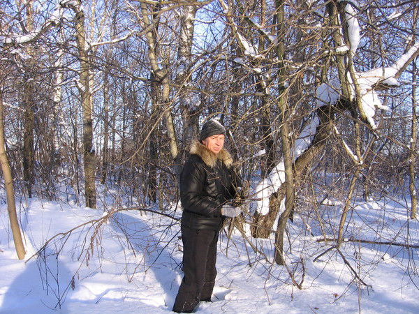 Виктор Мусиенко