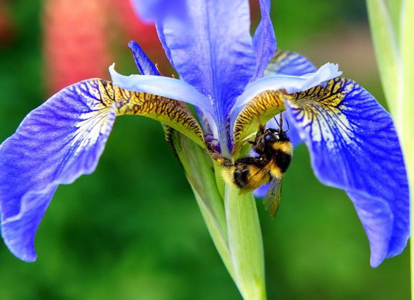 Светлана Челнокова