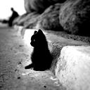 Dmitriy Shestakov)