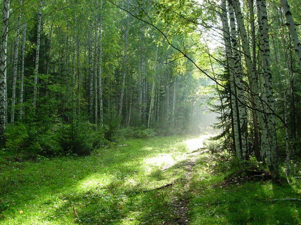 Ирина Пинкас