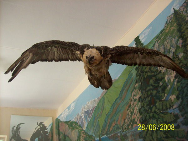 Ален Турдумбетов