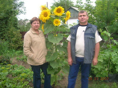 Александр Дычко