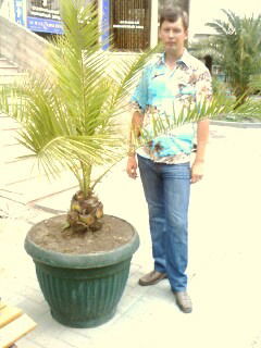 Владимир Сафонов