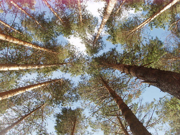 Cергей Суконкин