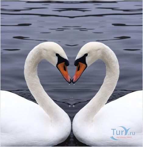 Наталья Макончук