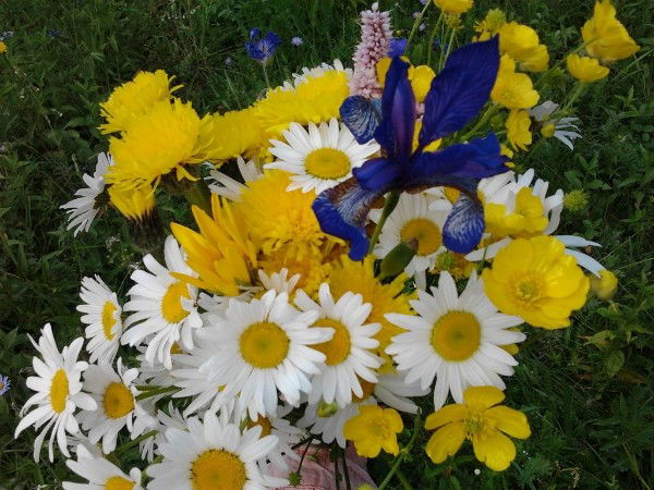 Юлия Кайряк