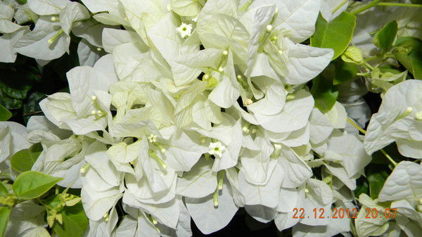 Ришат Языкбаев