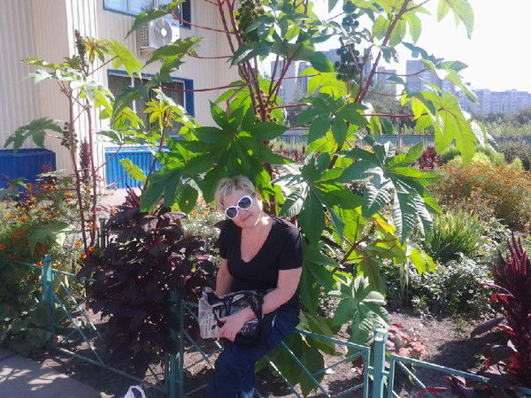 Инга Гребенюк