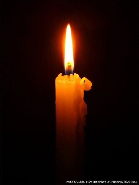 Пяжиев Дмитрий