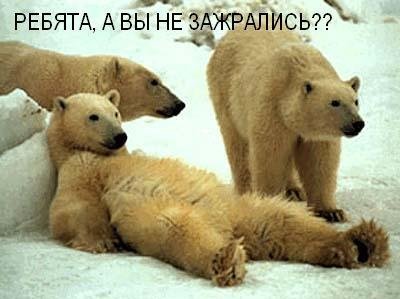 Александр Данишкин