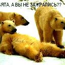 Александр Данишкин