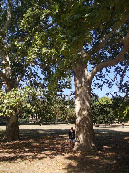 Галина Ноздрякова