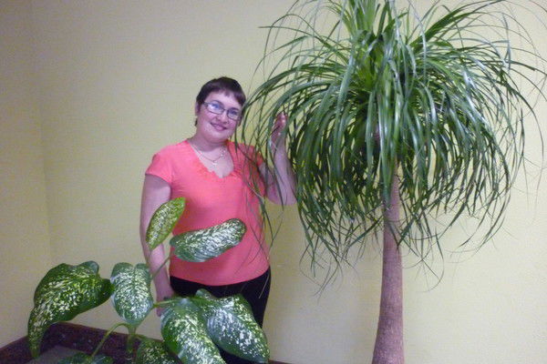 Эльмера Гайбатова