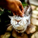 Dilara =)=)=)=)=)=)