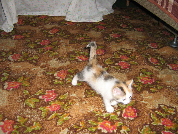 Андрей Зятына