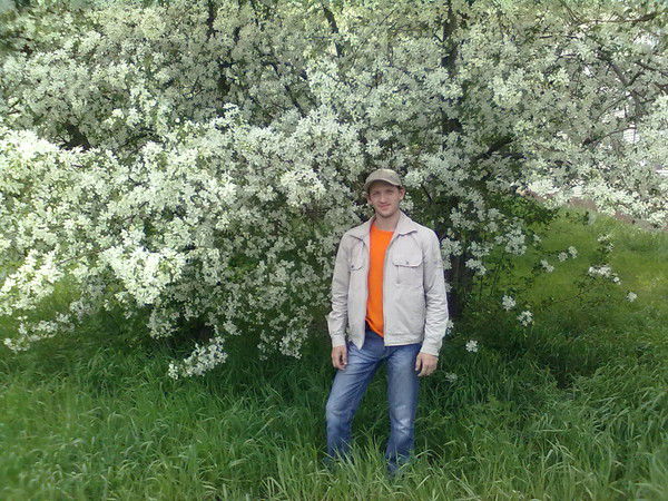 Александр Стрельников