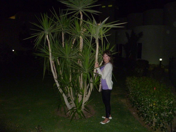 Галя Воронова