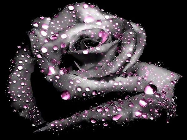 Татьяна Пилькевич