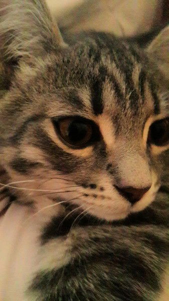 Екатерина Шипунова