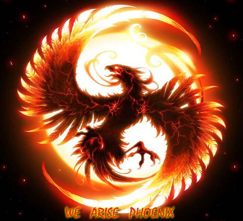 Юридическая Компания Вектор Права