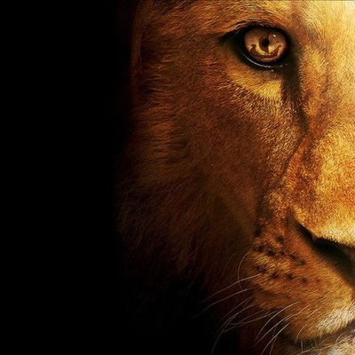 Мейрамбек Жамалов