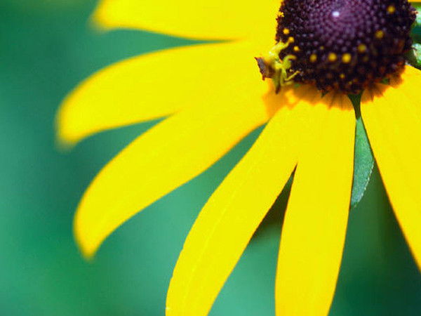 Ольга Герасимова