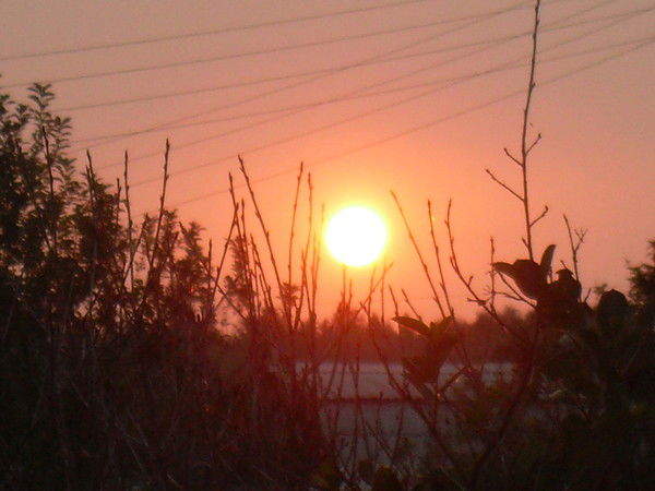 Роман Капралов