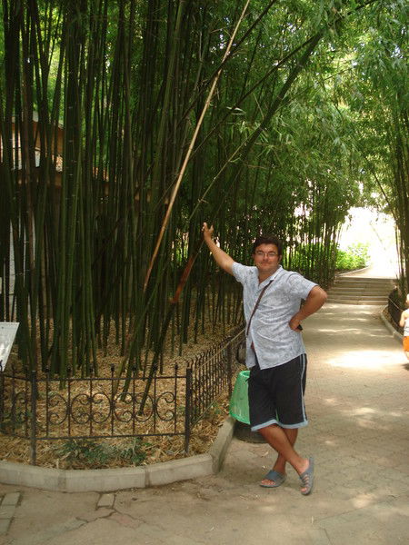 Виталий Дегтярь