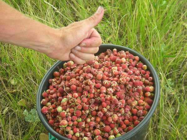 Александр Алексеев