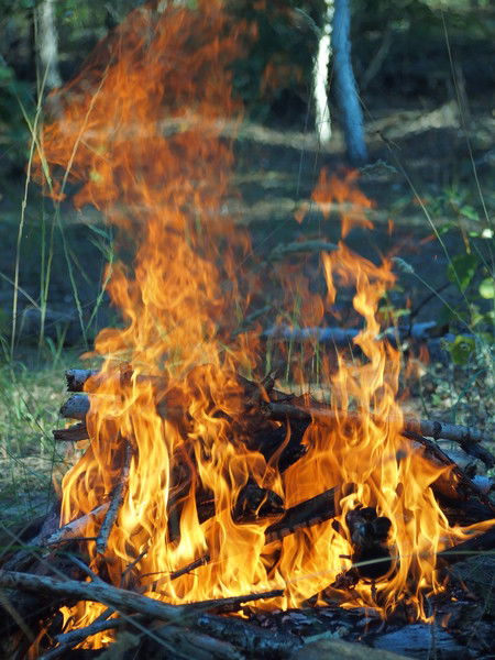 Виктор Швырев