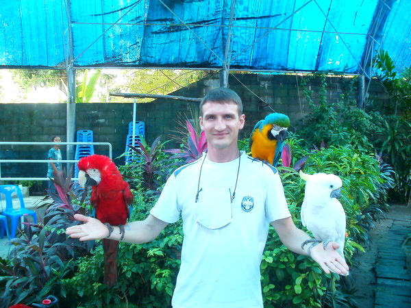 Роман Архипов