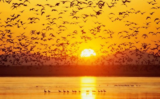 Эльза Ихсанова