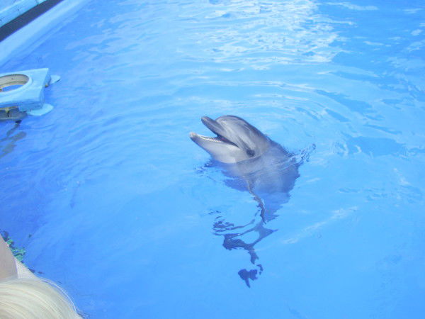 Владислав Колесниченко