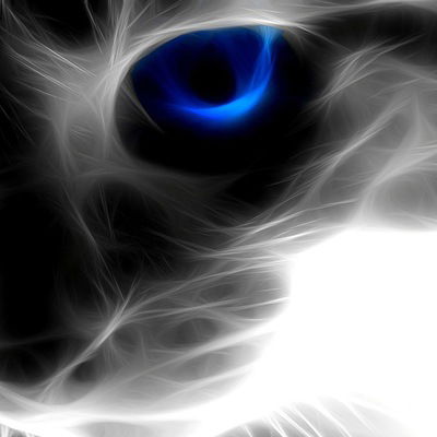 Денис Ибреев