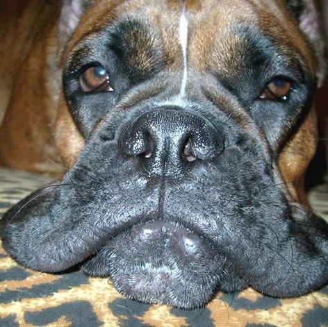 Алексей Прудников