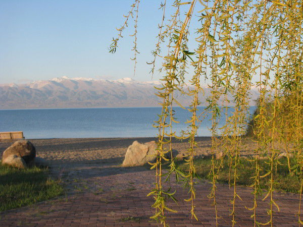 Юлия Паршина