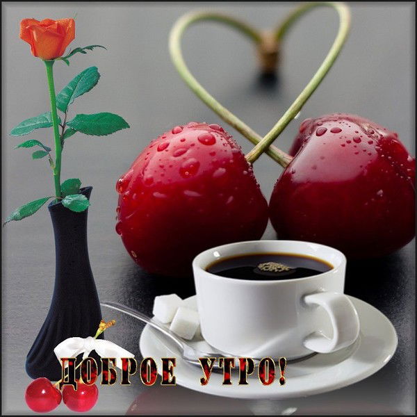 Саша Товарницкий