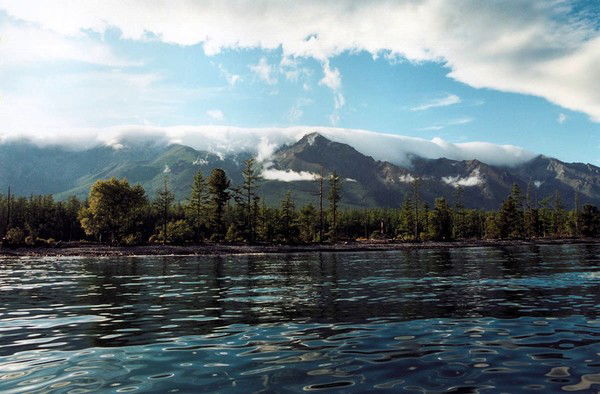 Самая Асадова