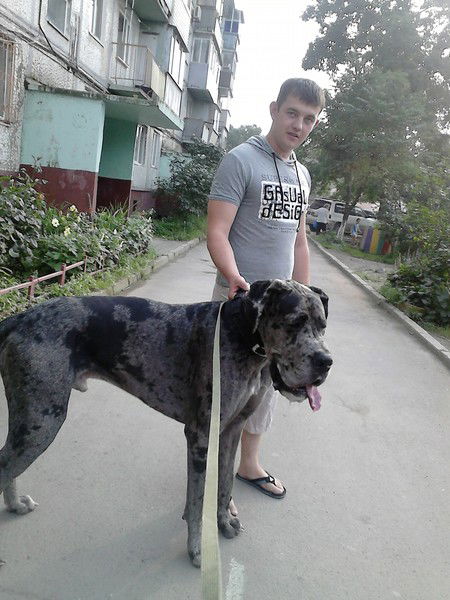 Вадим Глинский