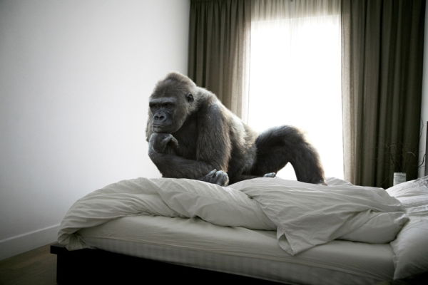 Владимир Мулинцев