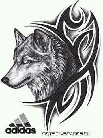 Никита Болдарев