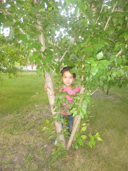 Дана Адылкадырова