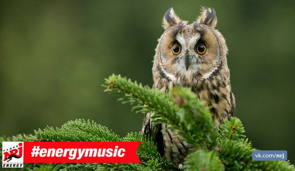 С-А-Вёнок Ученик