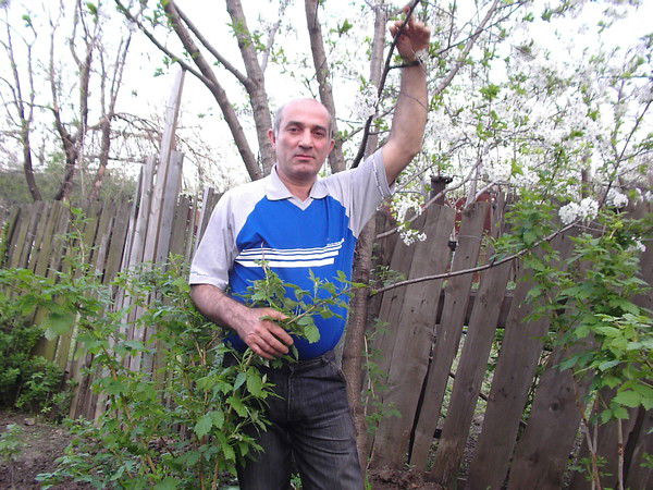 Уча Паикидзе