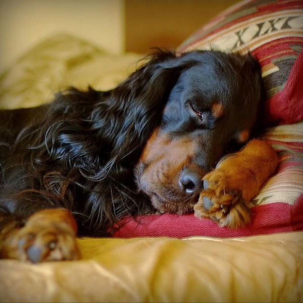 Сергей Подсобляев