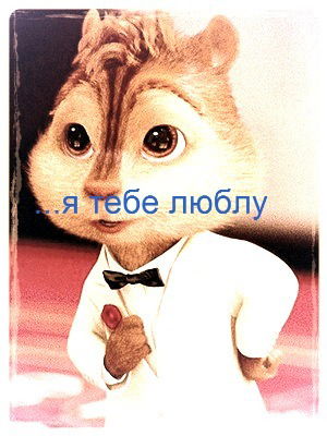 Ислам Каримов